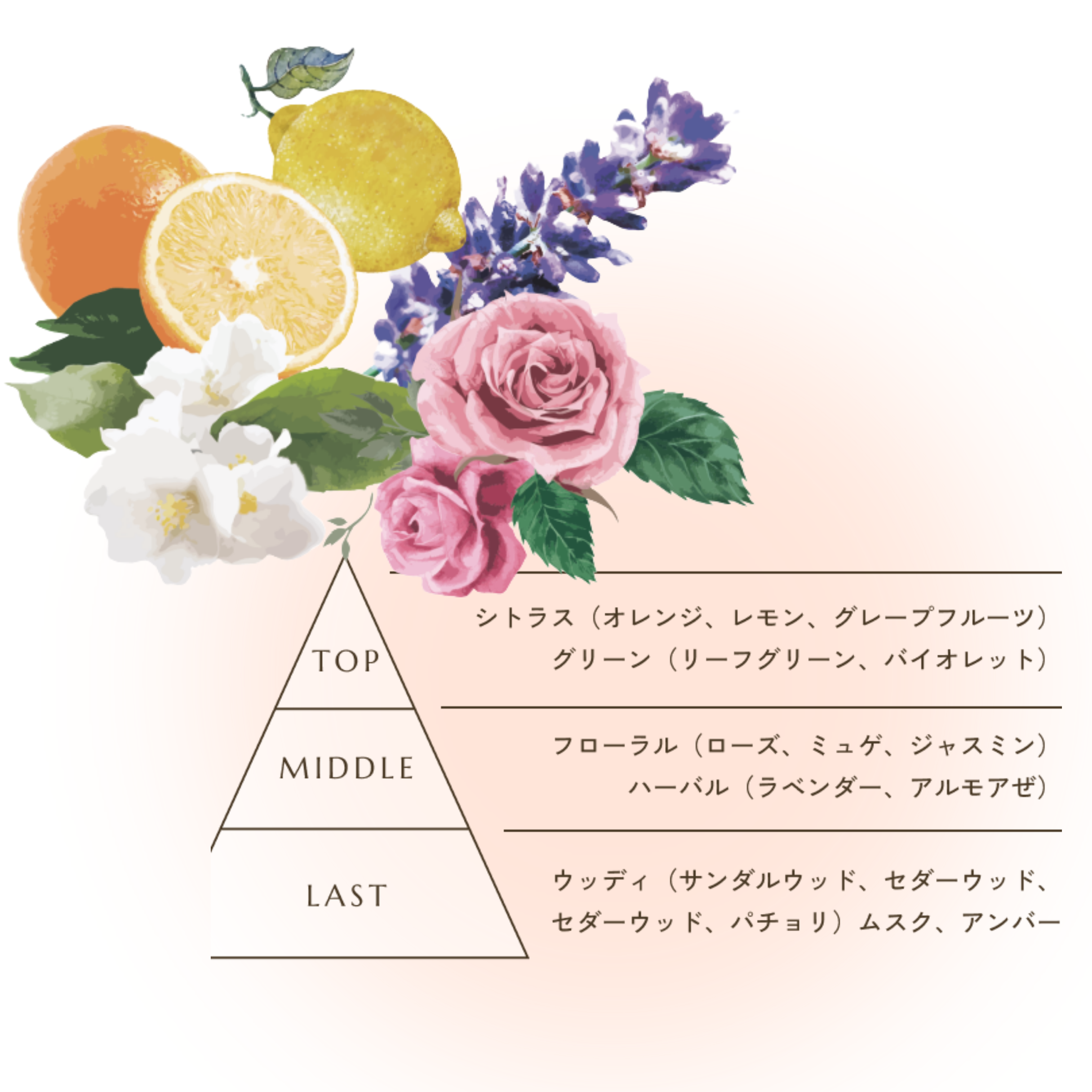 スパタイム　クリームシャンプー　(ディープクレンジング)