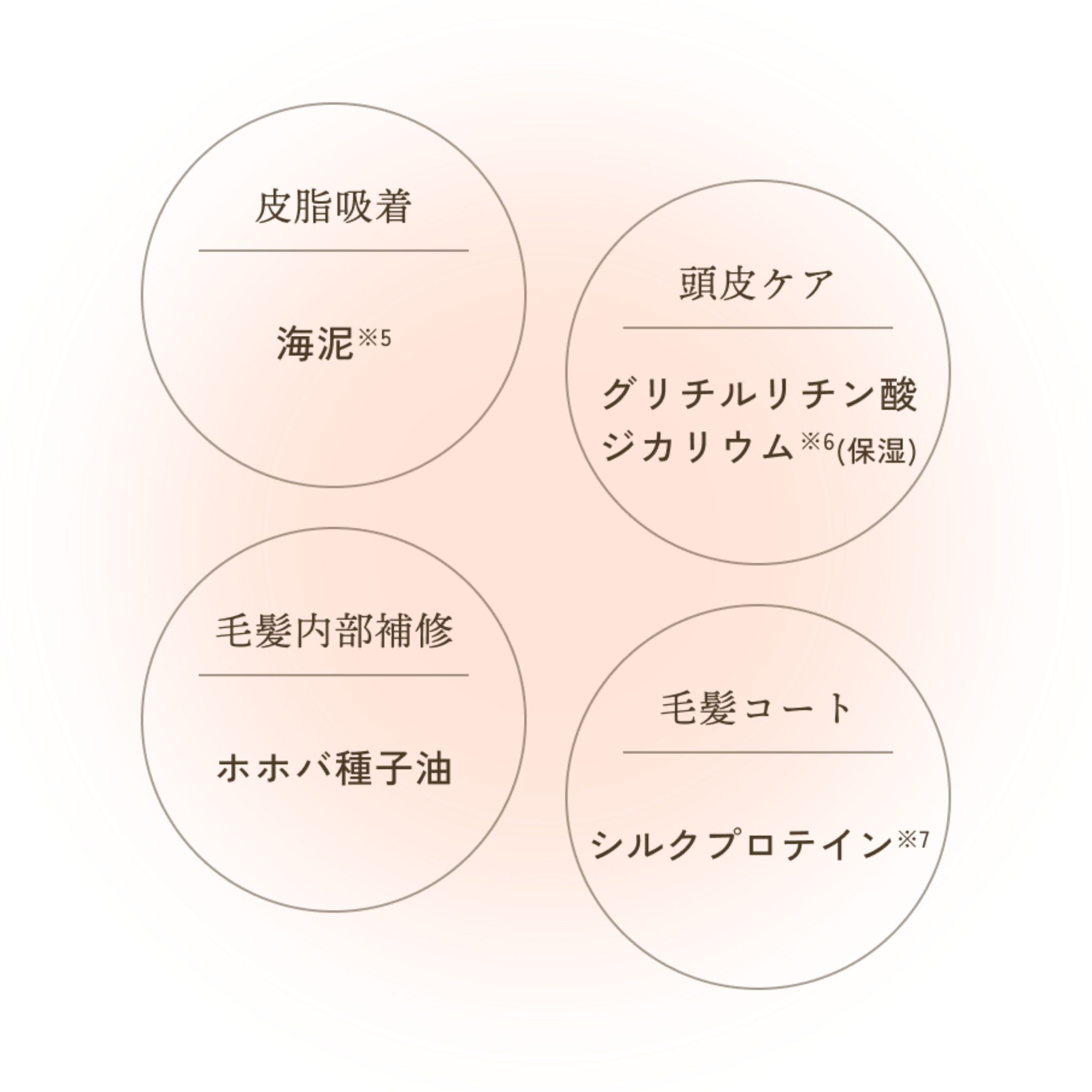 スパタイム　クリームシャンプー　(ディープクレンジング)