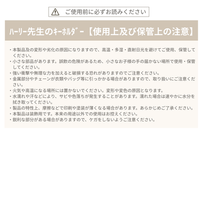 ハーリー先生のキーホルダー