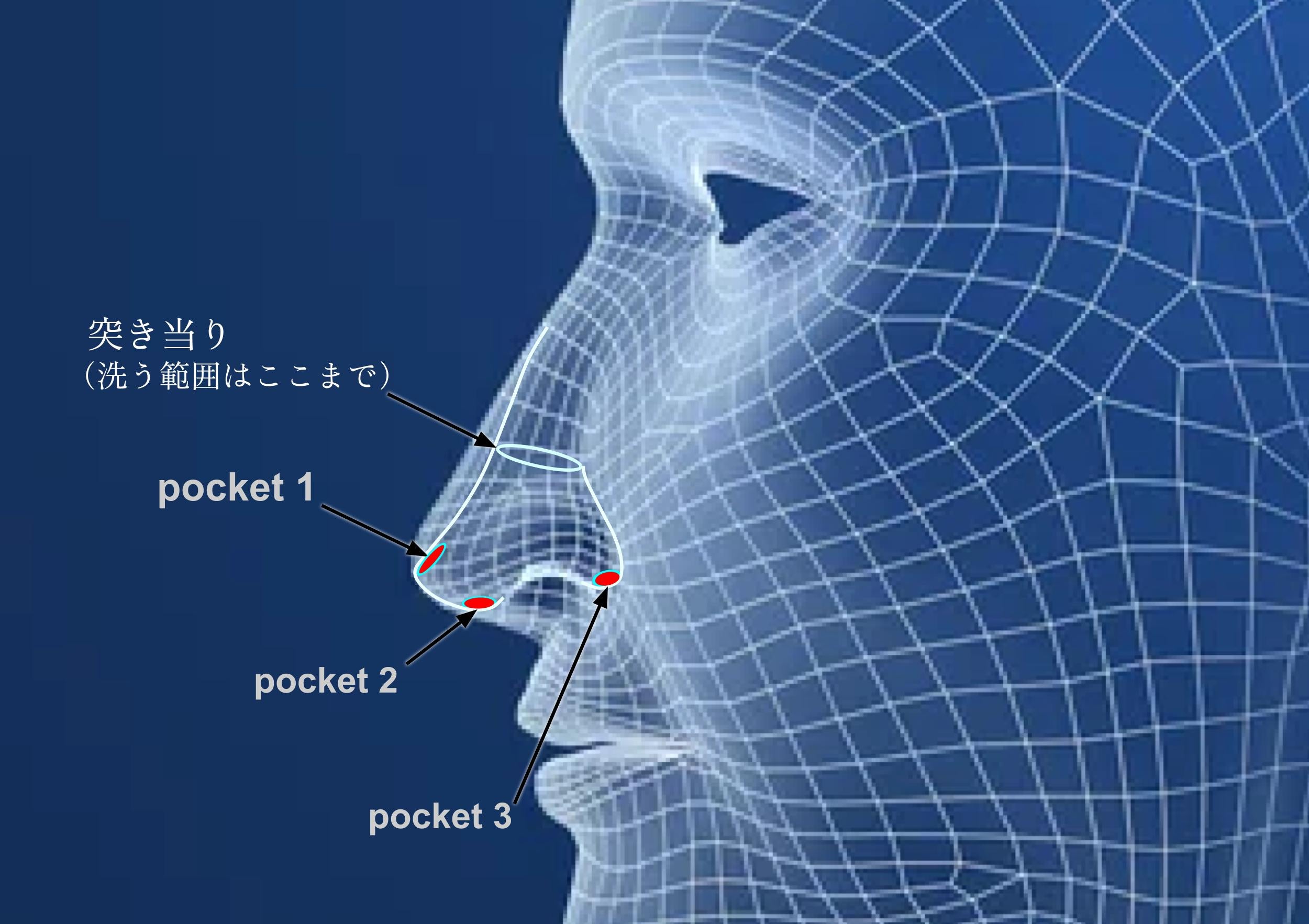 Nose Brash　（normalタイプ）